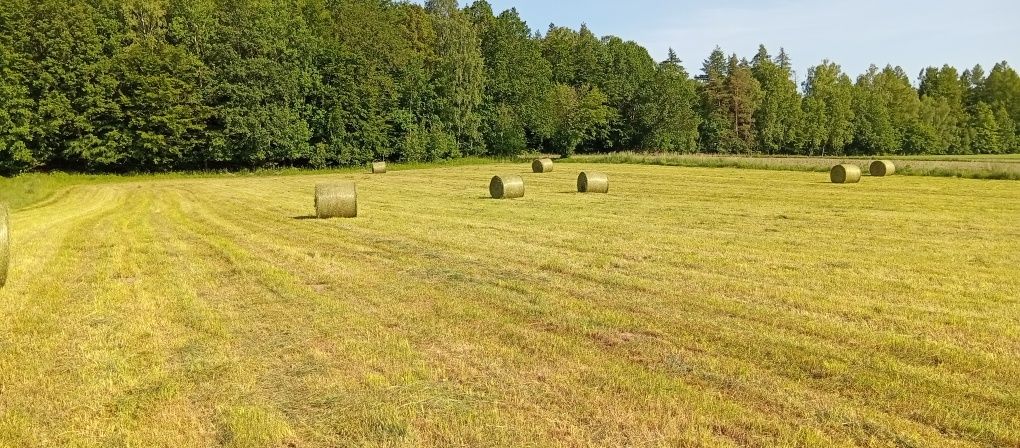 Prasowanie zbiór trawy siano słoma sianokiszonka
