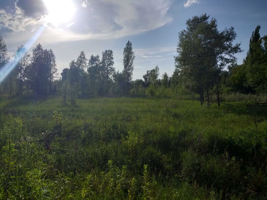 Гостомель. Фасадна ділянка біля траси. Земля під комерцію - 51 сотка.