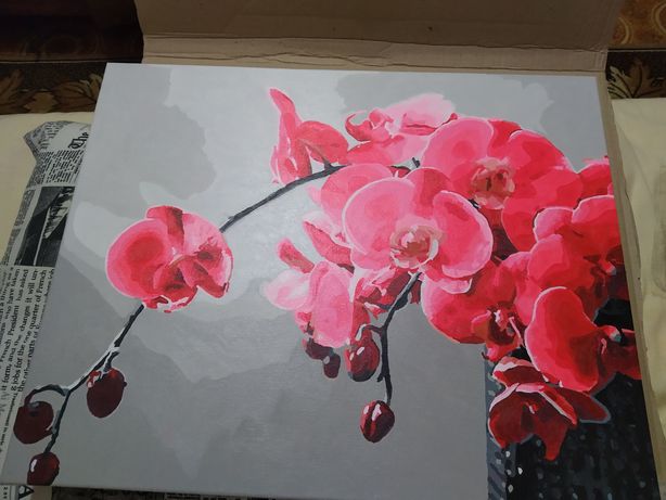 Картина Нежная Орхидея
