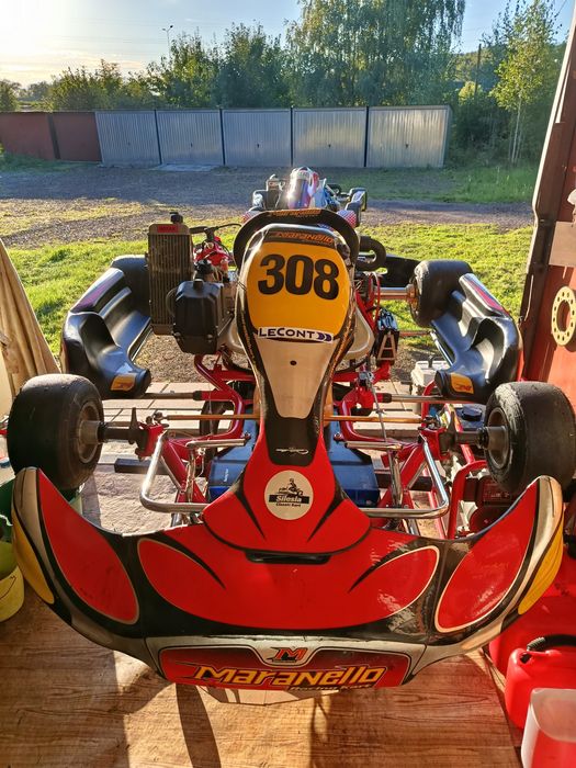 Gokart, kart, karting Rotax