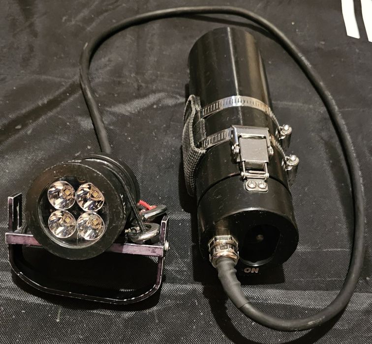 Latarka Yellow Diving Perch