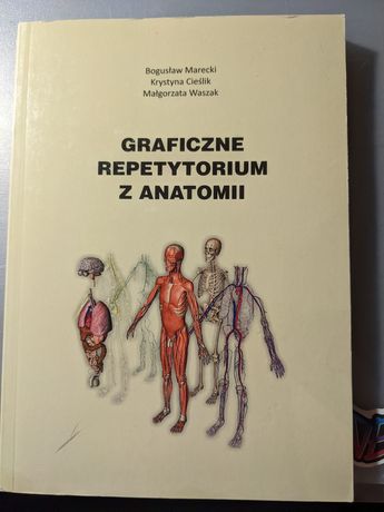 Graficzne Repetytorium z anatomii