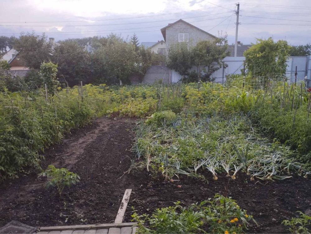 Продаж будинка ,село Дроздовичі