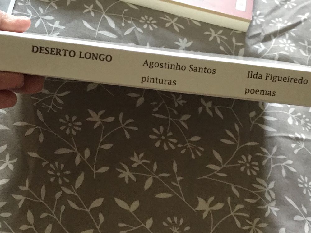 Livro poesia Ilda Figueiredo