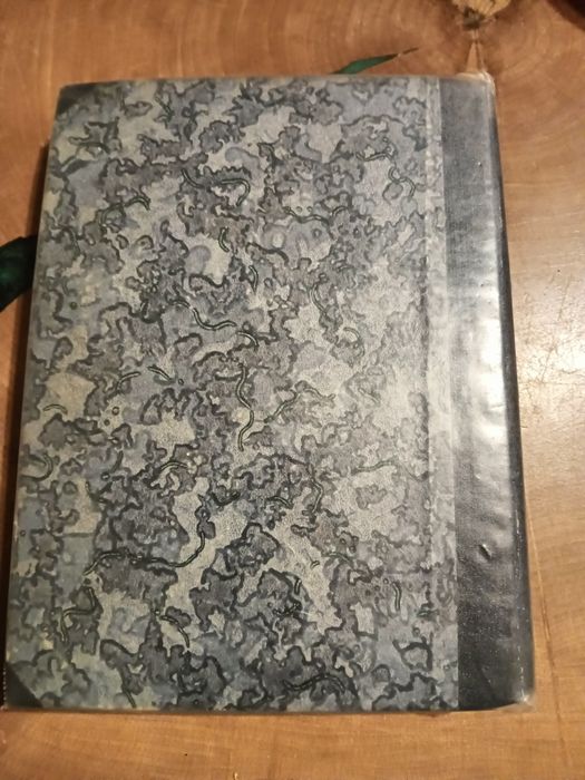 Wacław korabiewicz żaglem do jogów