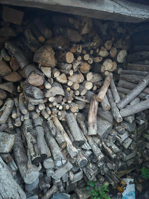 Drewno opałowe sezonowane