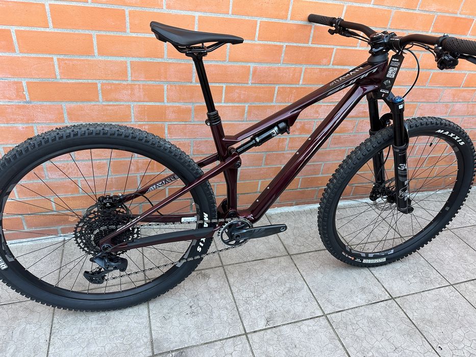 Bicicleta Btt Roda 29 carbono Suspensao total Sunn Shamann Dc S2