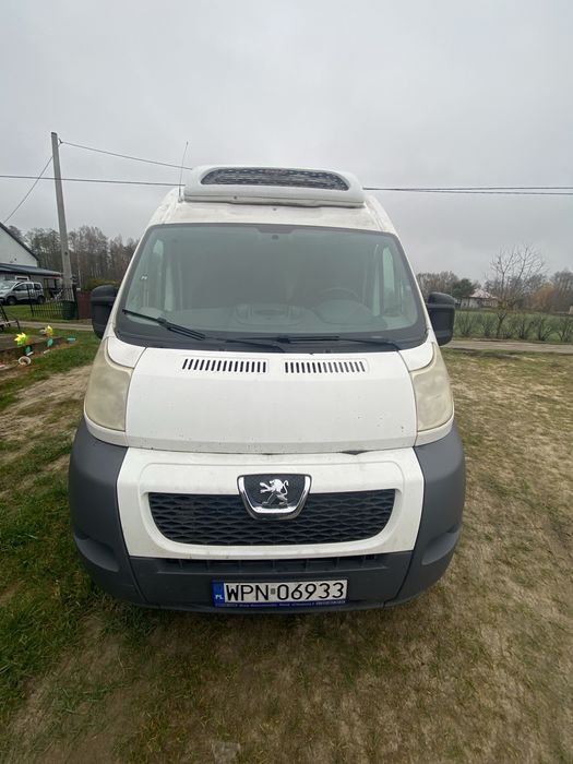 Peugot boxer chłodnia