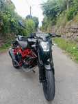 Benelli BN125 / 2024