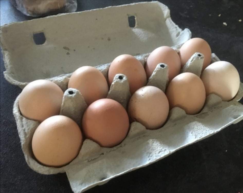 Świeże jajka wiejskie dostawa gratis