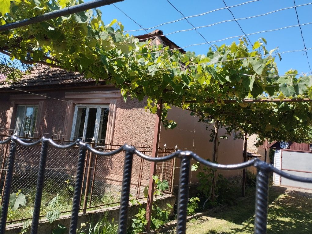 Продам дом Закарпатье Боржава