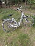 Rower gazelle orange plus D53