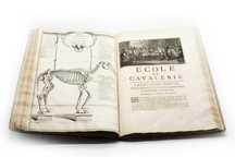 De la Guériniére, École de Cavalerie, In-Folio, 1751