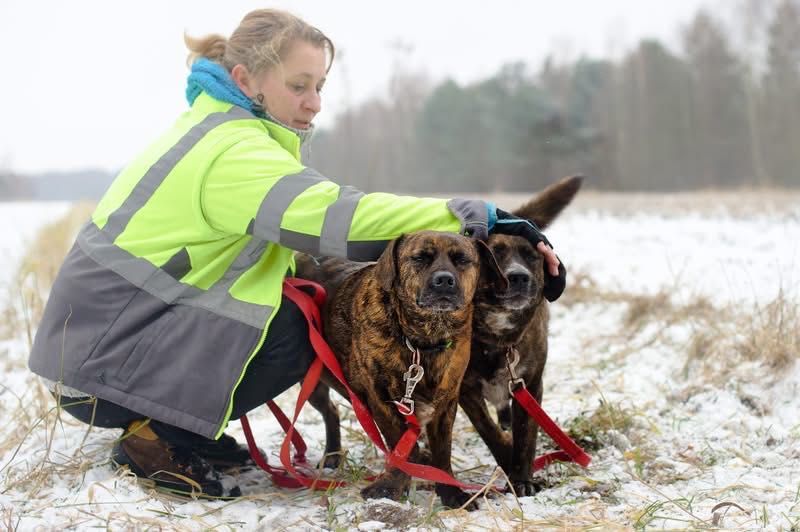 Hugo i Fado szukają rodziny