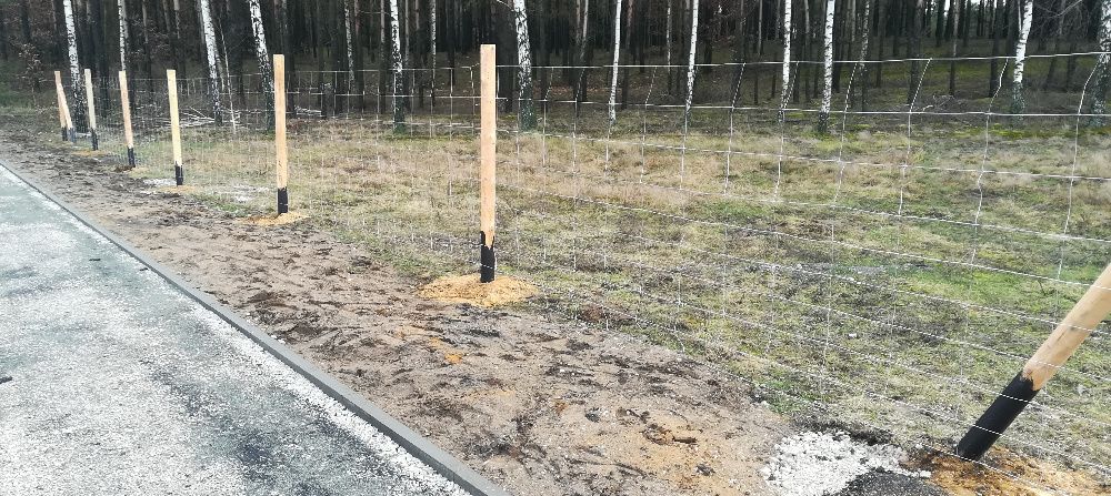 Ogrodzenie Tymczasowe  Ostróda siatka Leśna już 17 zl. za mb