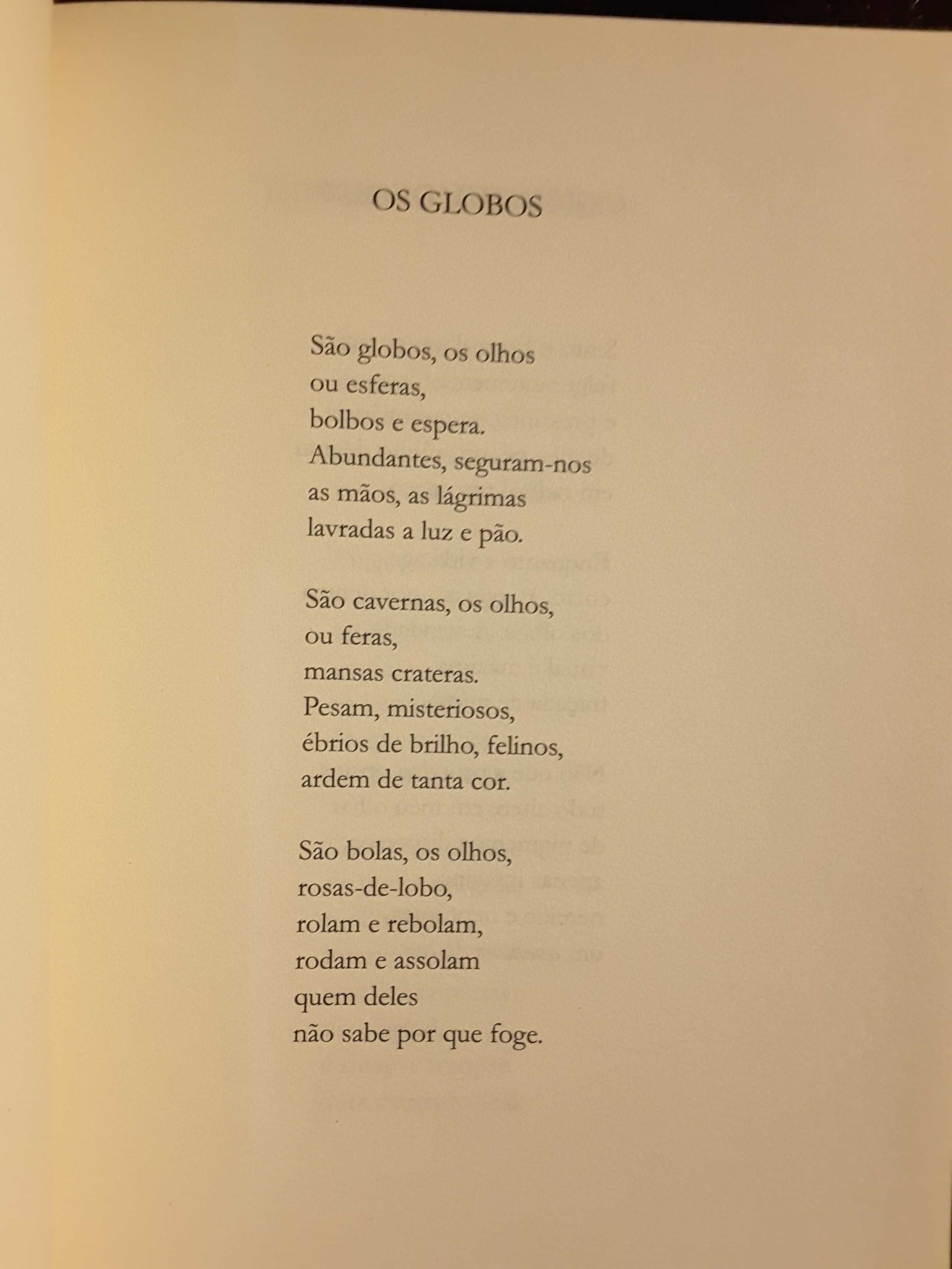 Relâmpago. Revista de Poesia / Ana Marques Gastão / Emanuel de Sousa