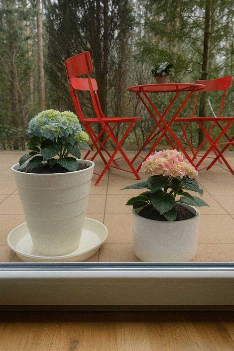 250 злотых неделя проживания Hostel Warszawa pokój Хостел UA \RU