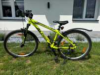 Rower Alpina 26’’