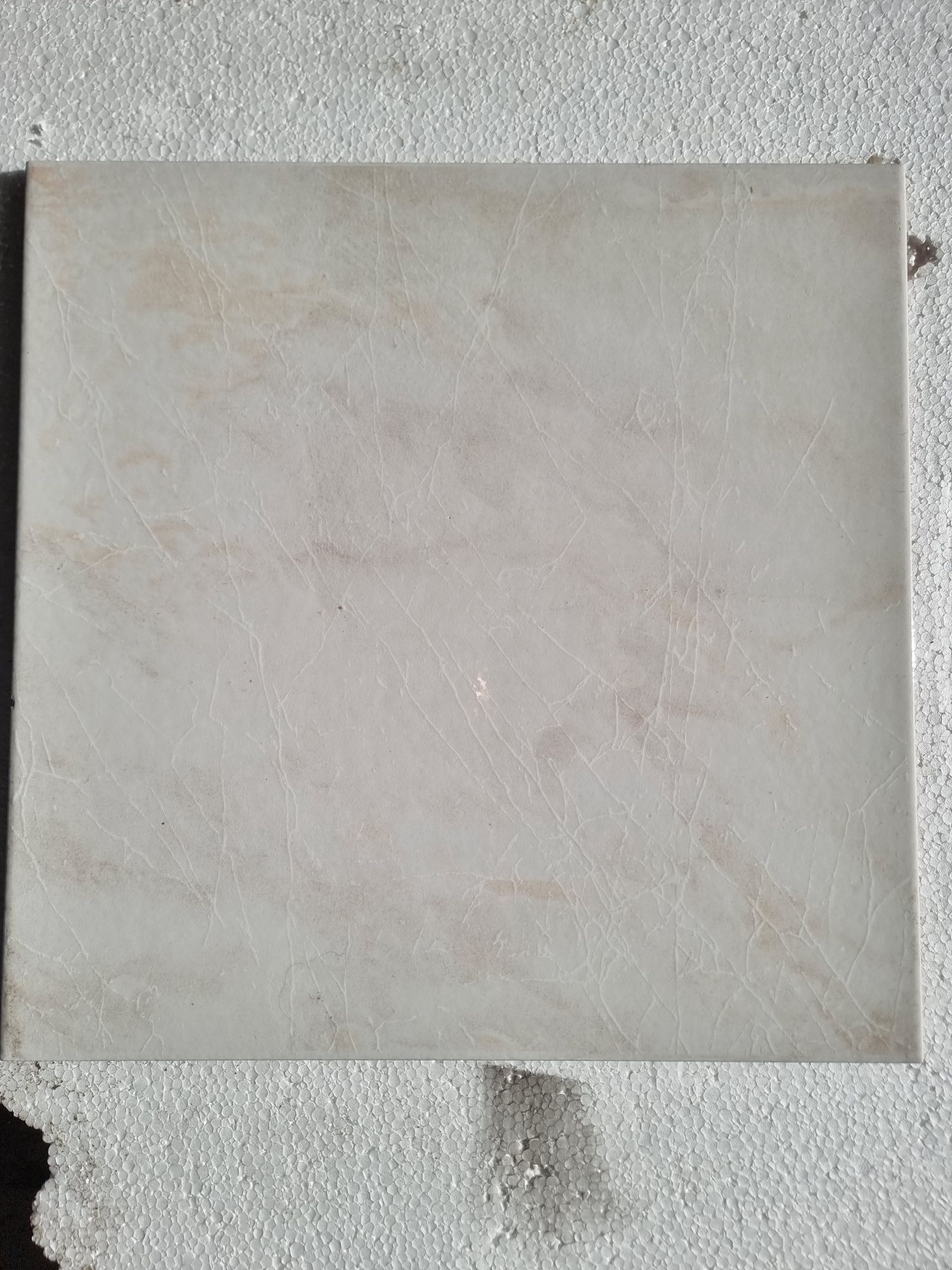 Azulejos revigres