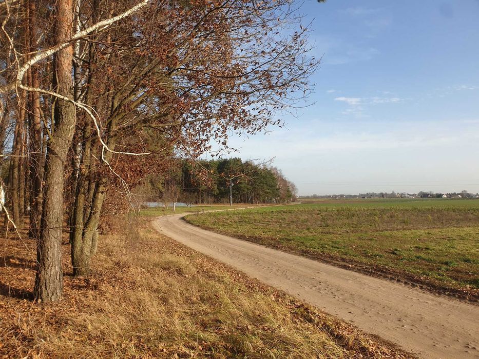 Działka budowlana Radziki Duże przy lesie
