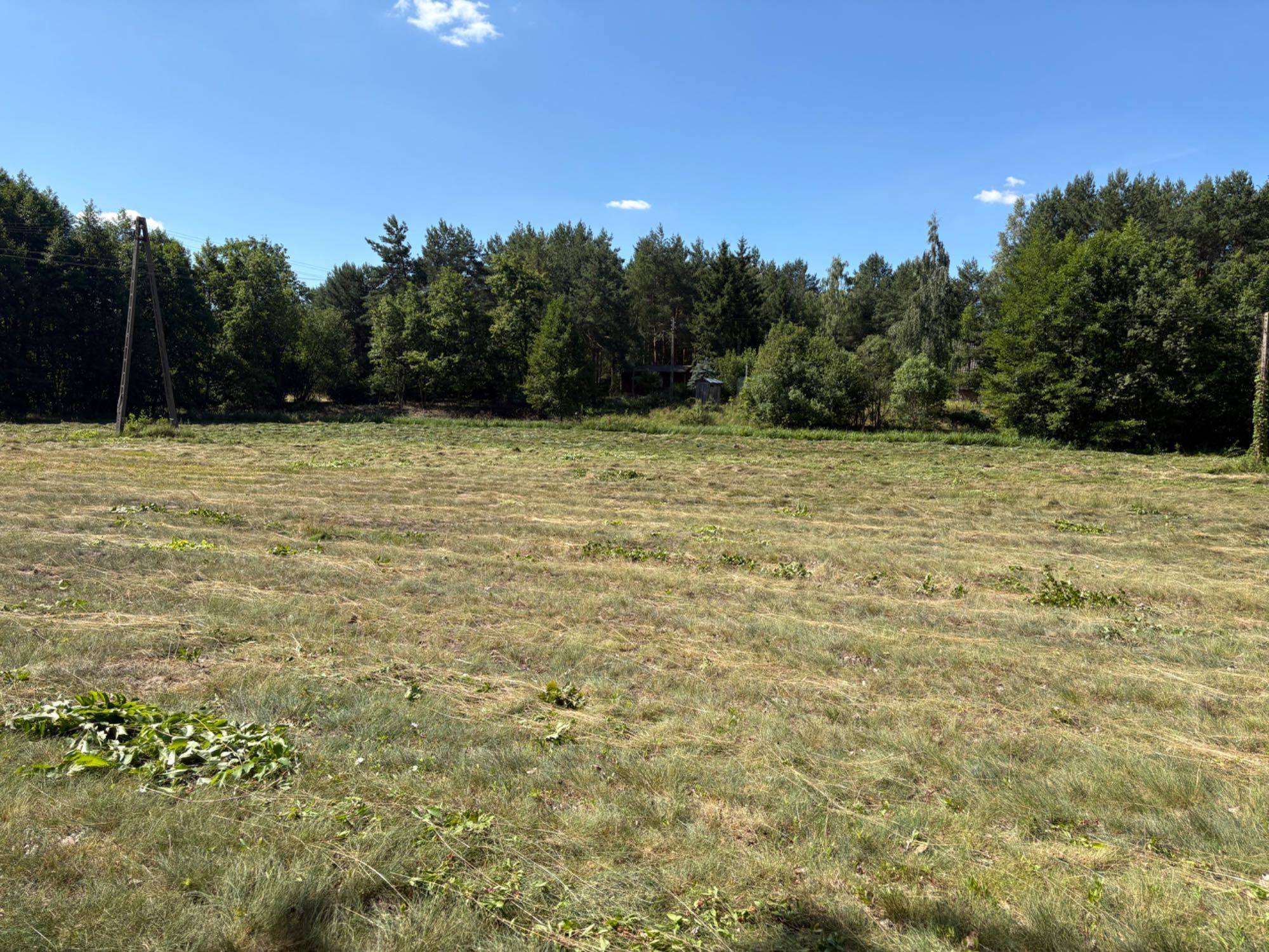 Działka budowlana 6500 m2 Arciechów 130 zł/m2