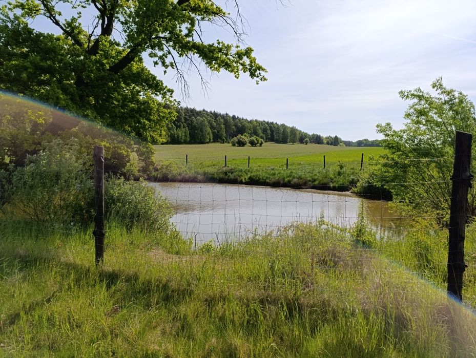 Sprzedam działkę rolną że stawem