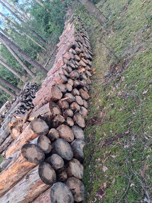 Cięcie i łupanie drewna