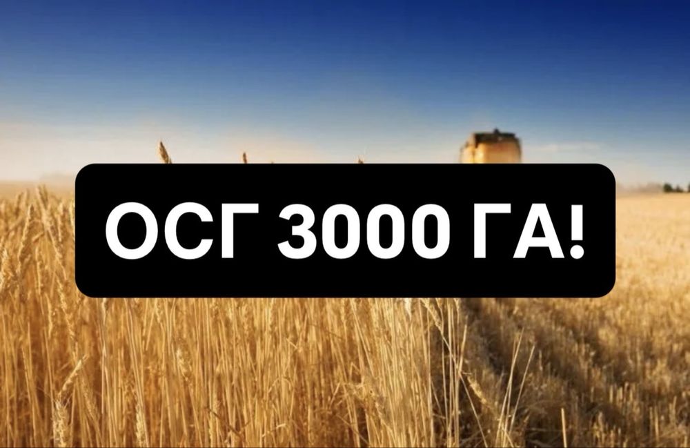 Продаж! 3 000 тисячі га, ОСГ повна власність