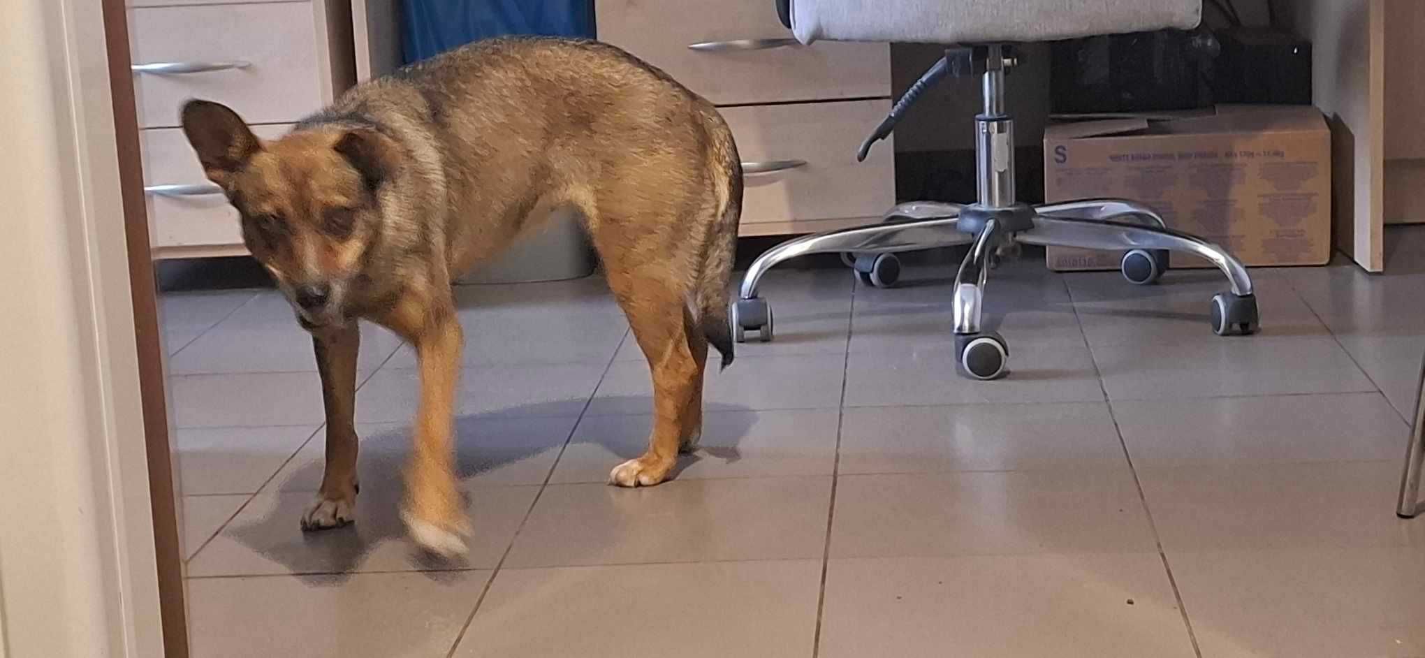 14 samotnych, bezpańskich dni na stacji benzynowej