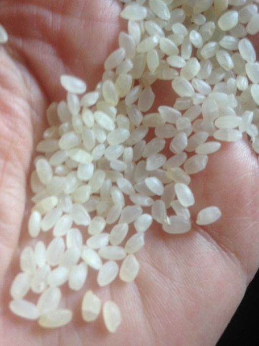 Консервы, чай,  макароны, рис, мука.