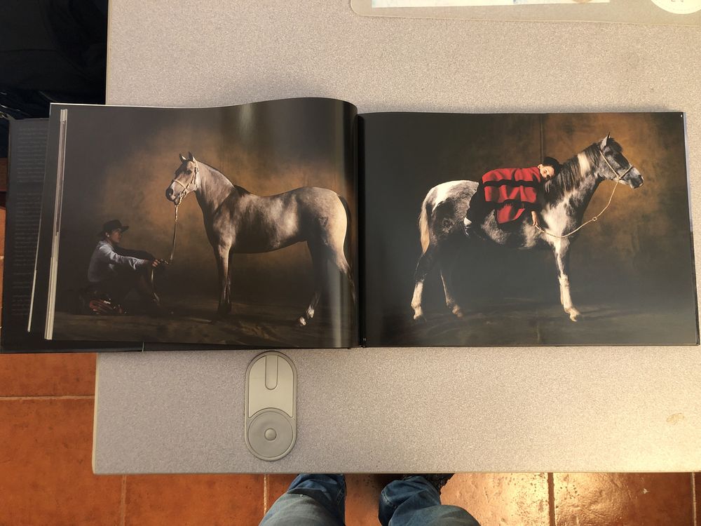 Livro de Cavalos