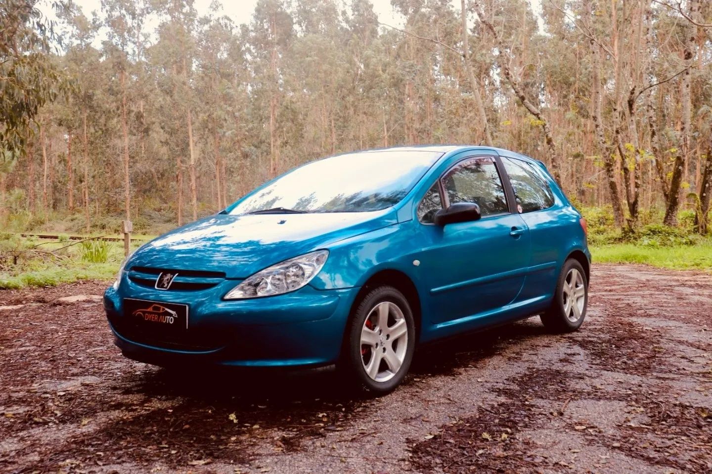 Peugeot 307 1.6 GPL