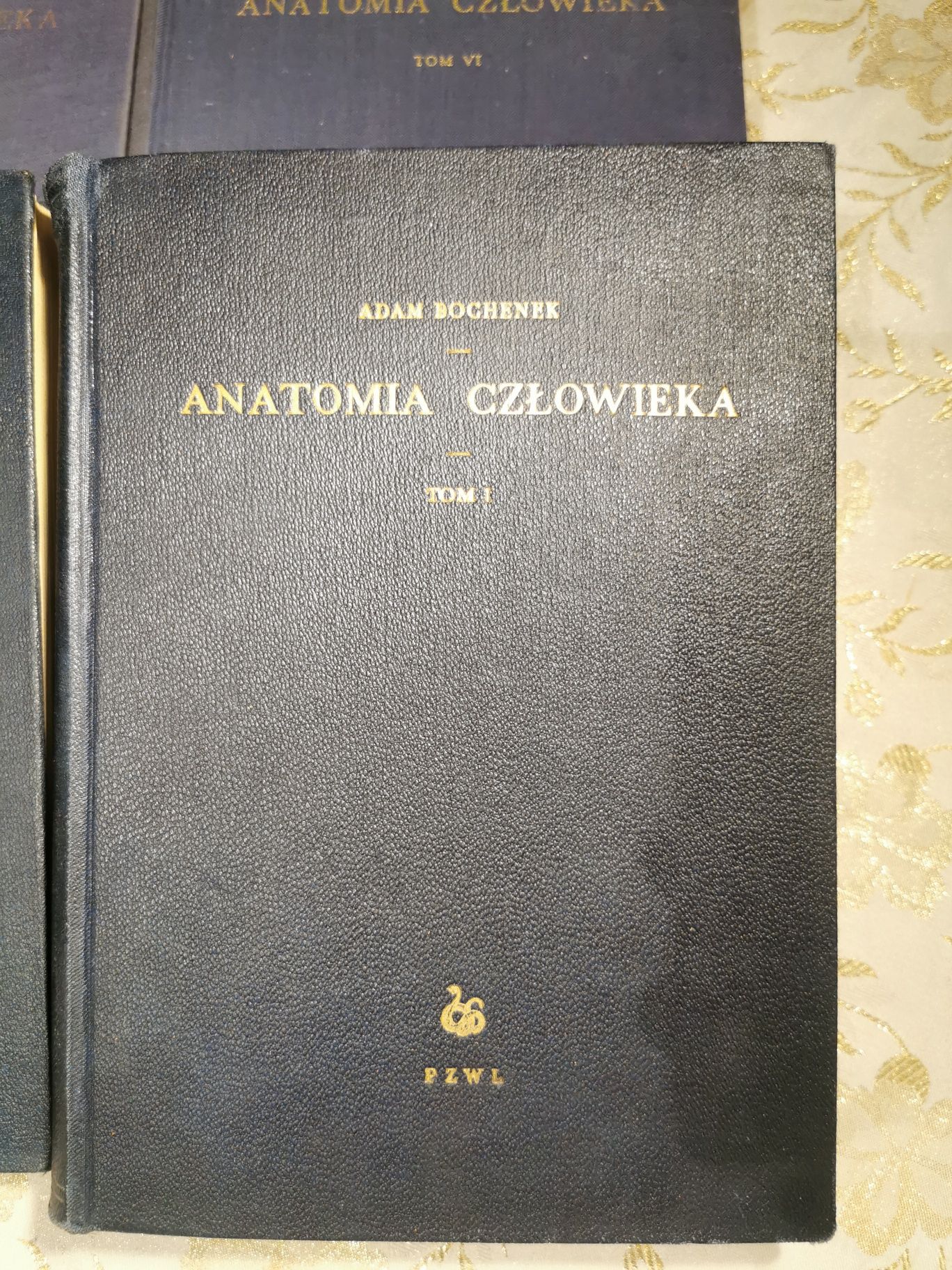 anatomia człowieka Bochenek reicher 1952