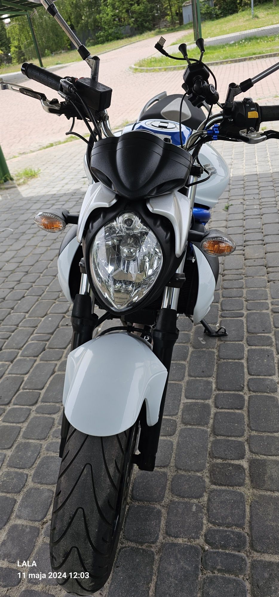 Suzuki Gladius SFV 650