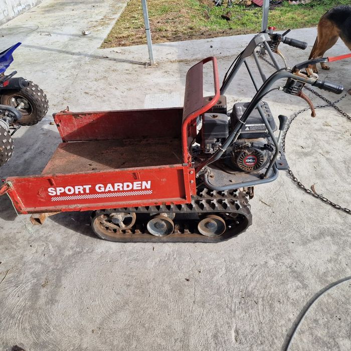 Sport Garden lagartas