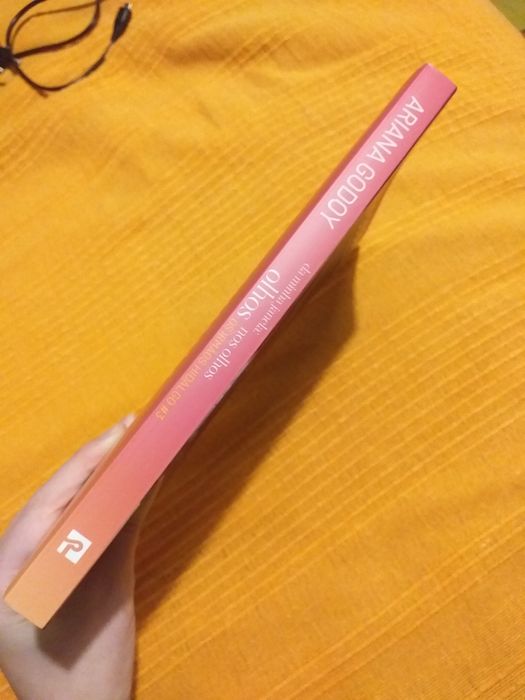 Livro Da minha janela: olhos nos olhos os irmãos hidalgo ariana godoy