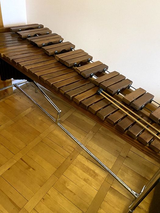 Ксилофон (професійний музичний інструмент)