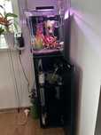 Alwarium 30 litrowe Aquael