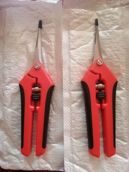 Сікатор-ножиці для кімнатних рослин.