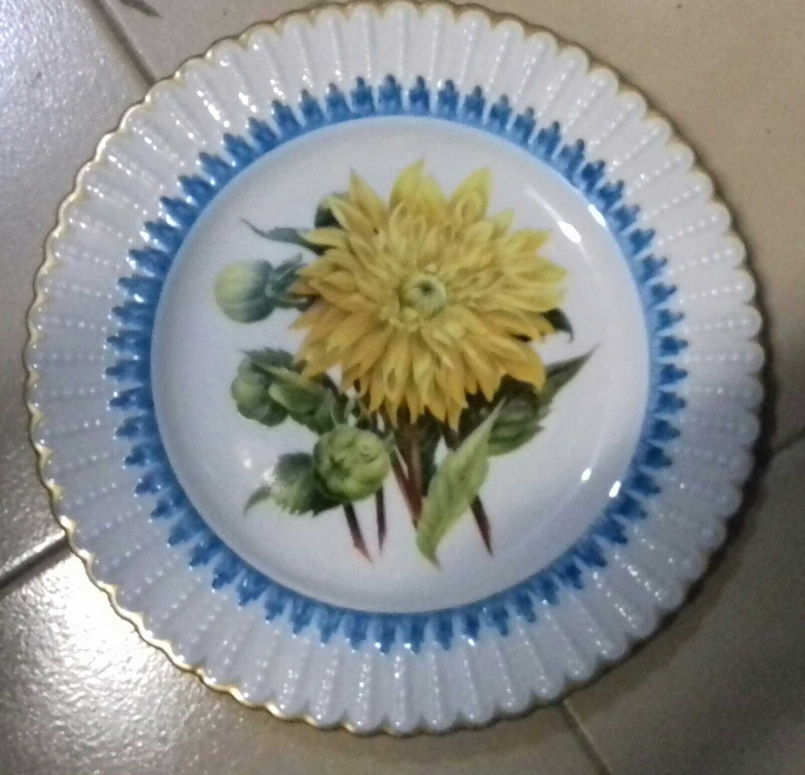 Pratos Porcelana Flora Lusitânia