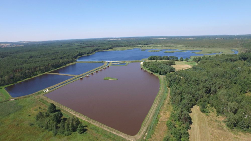 Stawy rybne, pod rozbudowę, obiekt rekreacyjny ,inwestycję 22ha