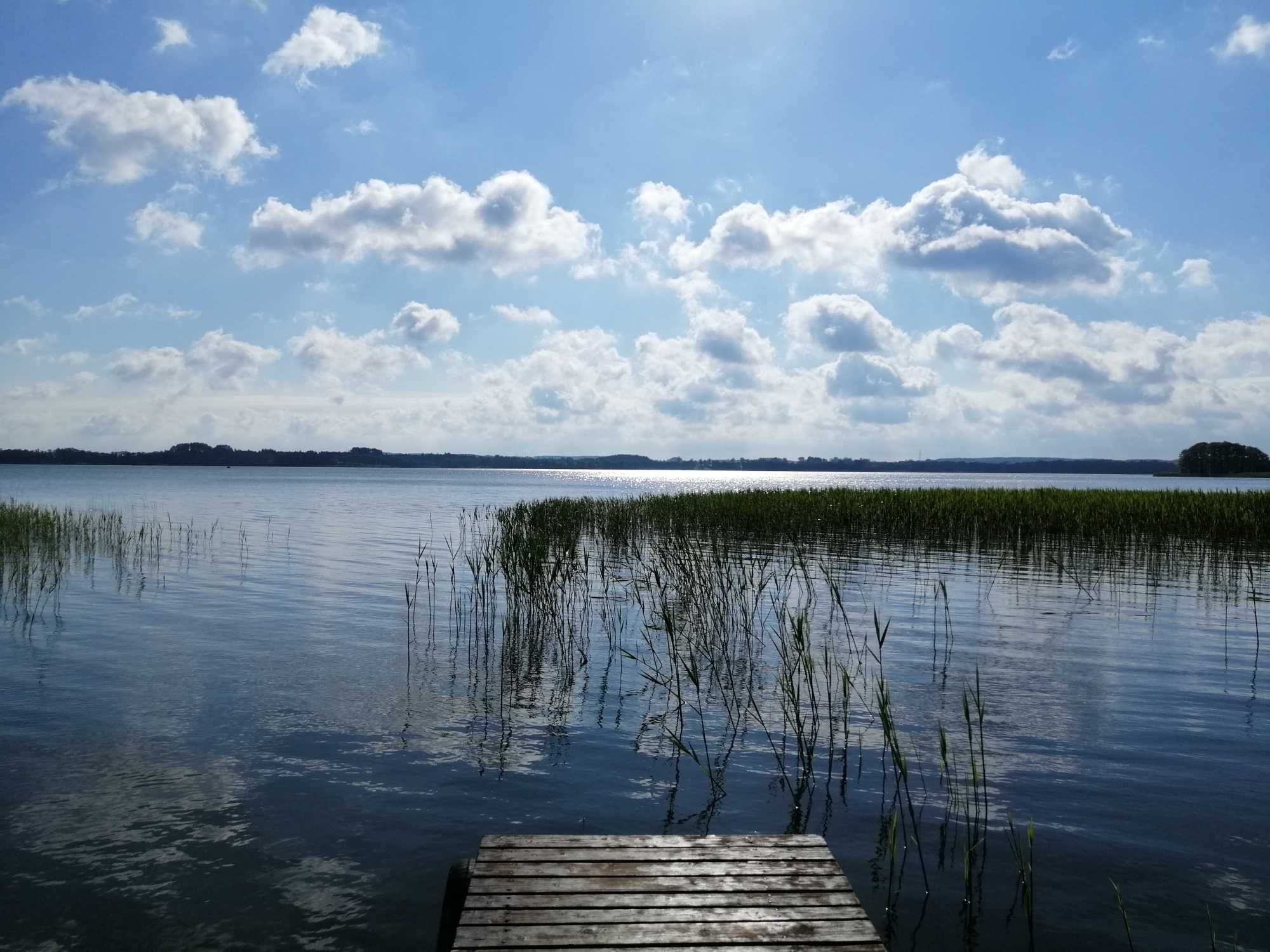 Domek Malinka Mazury nad jeziorem Sasek Wielki koło Szczytna nocleg