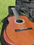 Guitarra 7 Cordas Brasileira Luthier Carlos Oliveira (Pau-Brasil) (NEG