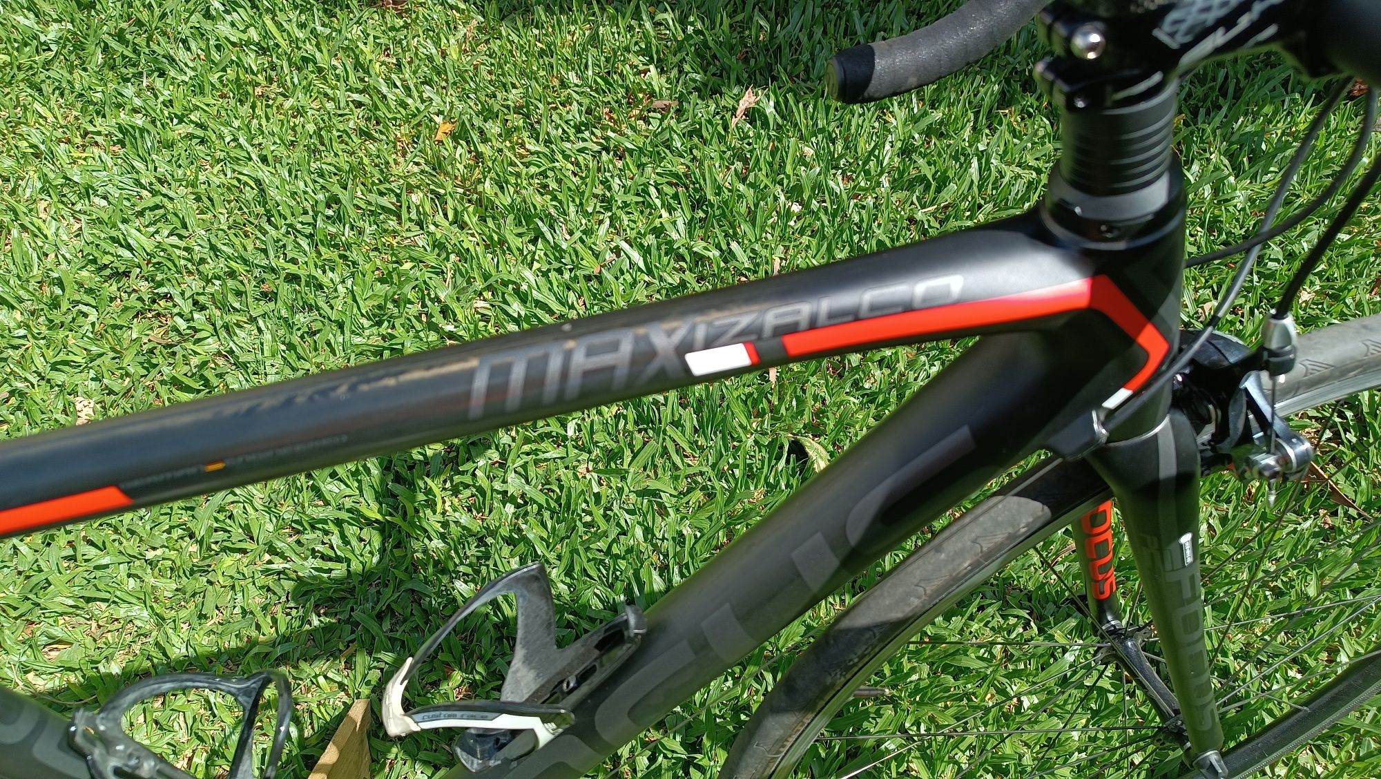 Focus Izalco max