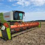 Usługa koszenia Claas Lexion 760 TT