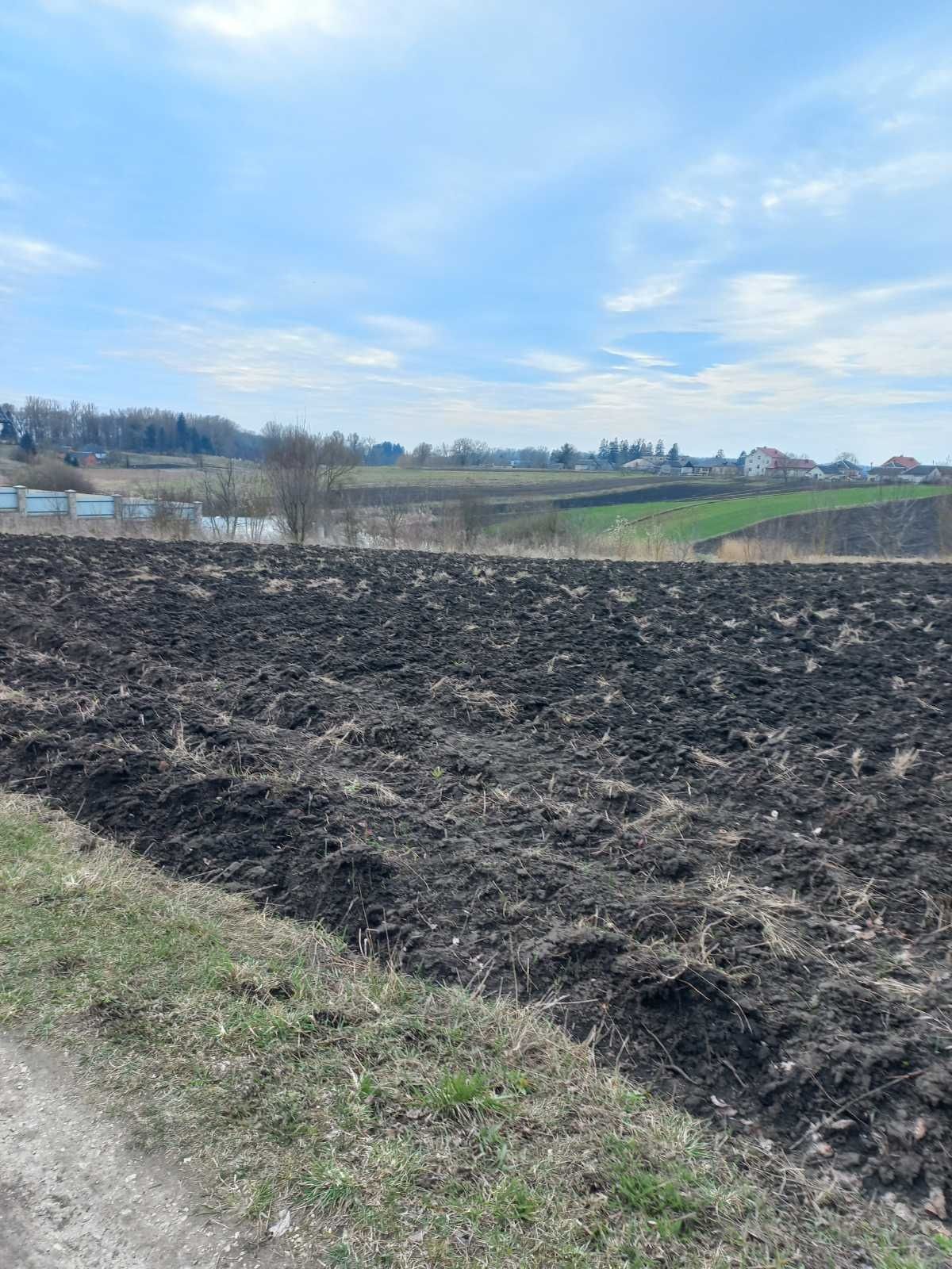 В.Ходачків Продаж земельної ділянки під с/г і забудову. Є газ і електр