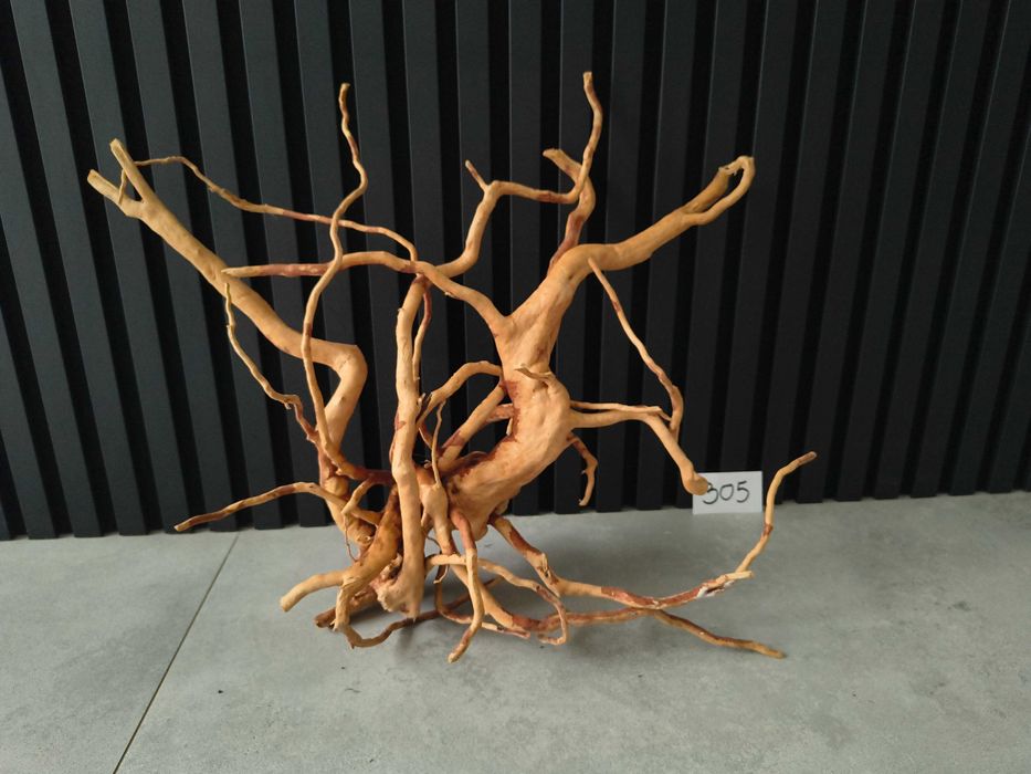 korzeń Red Moor Wood 305 PREMIUM Japoński akwarium terrarium 44x54x20