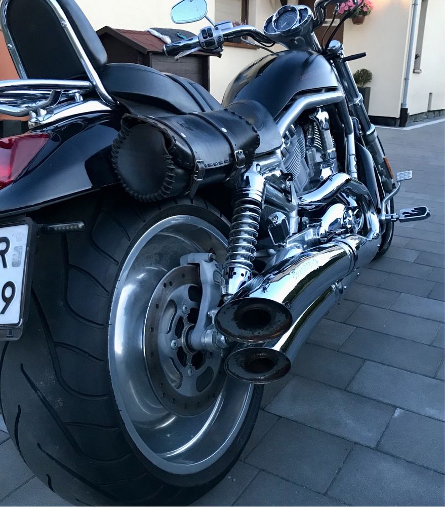 Harley - Davidson  V- Rod. Europejczyk