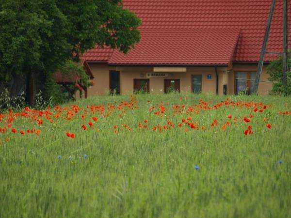Nocleg ,noclegi  Agroturystyka  Zawadka min.2 doby/Wadowice /Zator/ En
