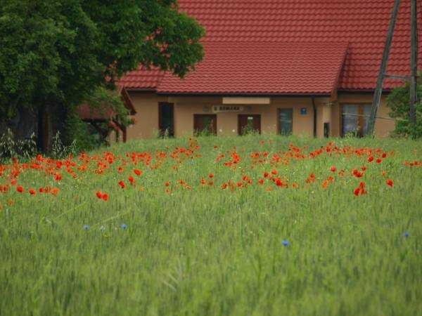 Nocleg ,noclegi  Agroturystyka  Zawadka /Wadowice /Zator/ Energ